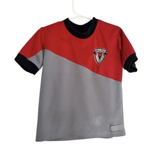 Polera / Talla 4